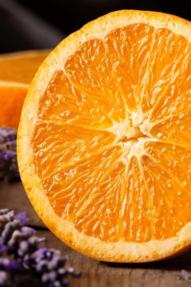 Lavender & Orange