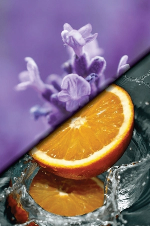 Lavender & Orange scent oil