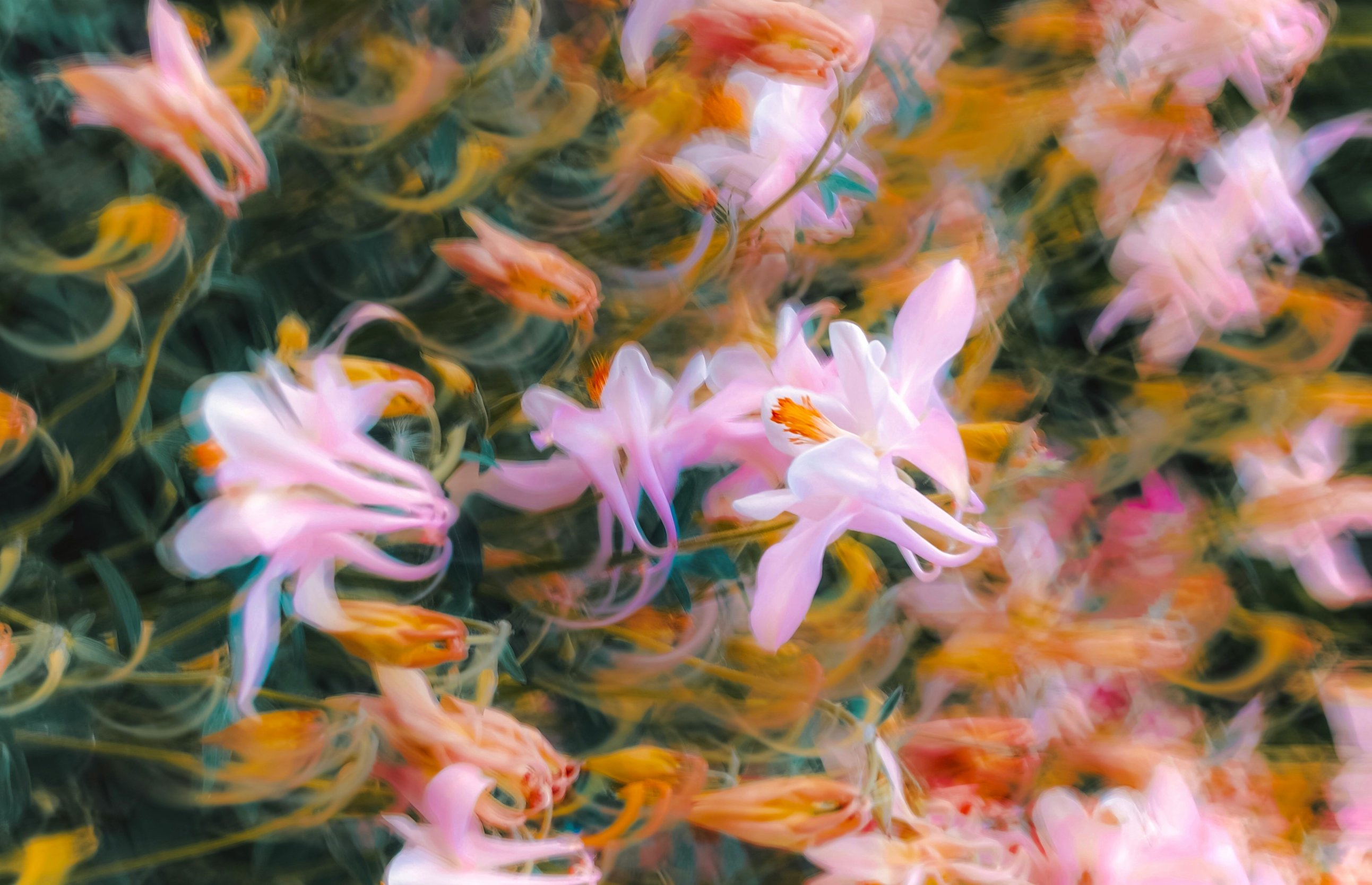 eugene-golovesov-sDjjdXBT-XQ-unsplash