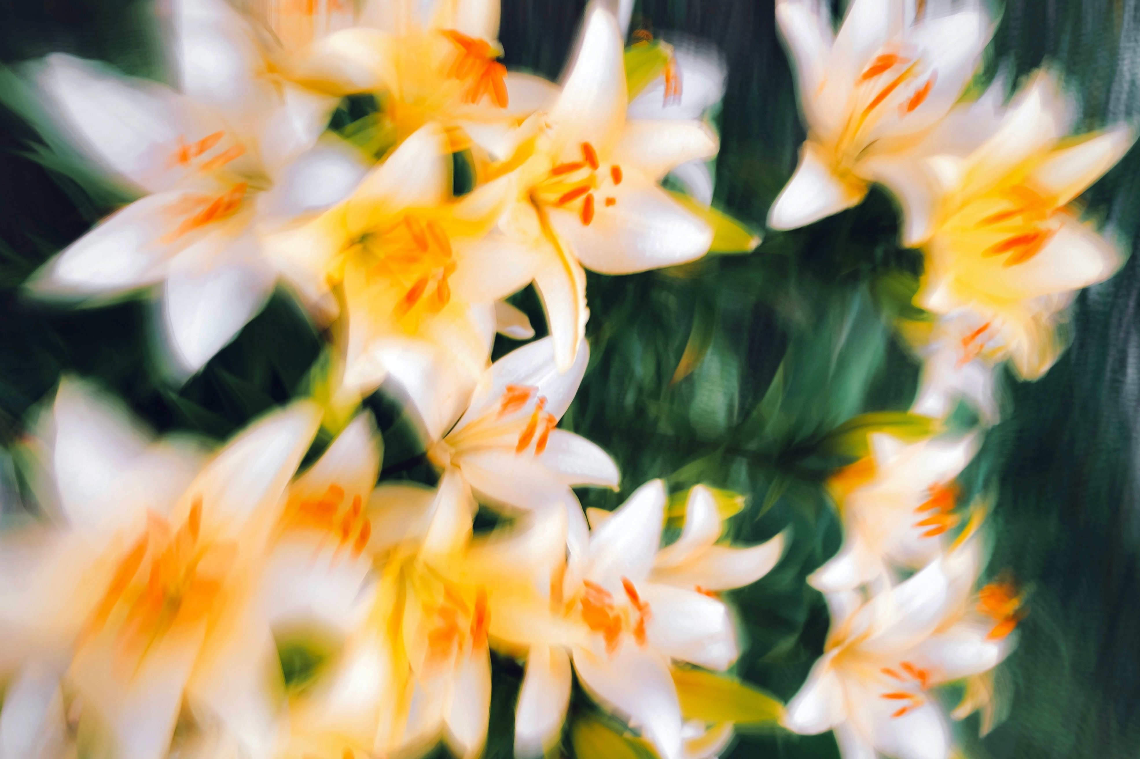 eugene-golovesov-doOoUVraPX8-unsplash