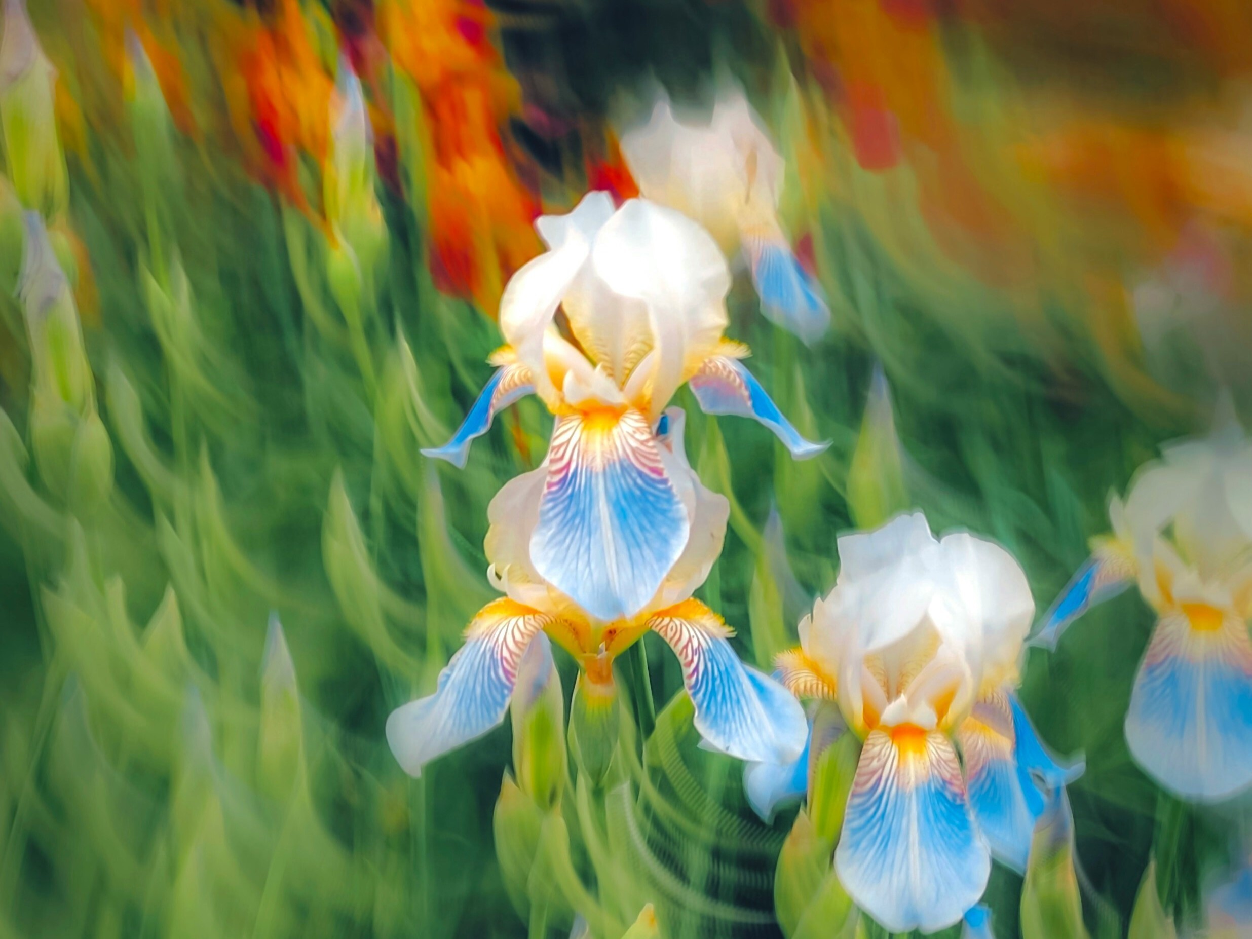 Ambience image with flowers enhancing the scent experience via our scent system in the space