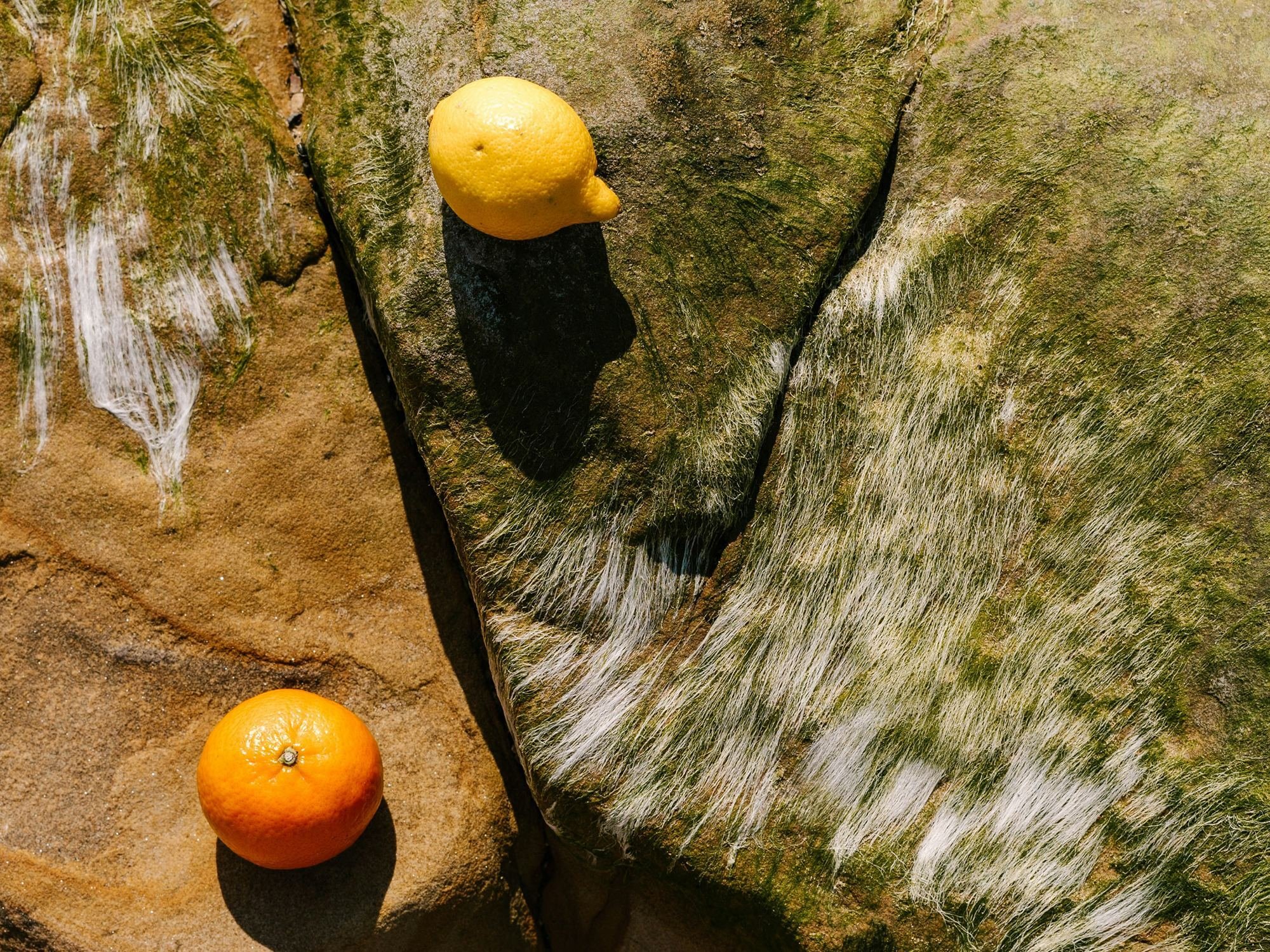 Office ambience energized by citrus scent for elevated productivity (+54 %)