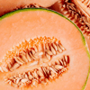 Honeydew Melon