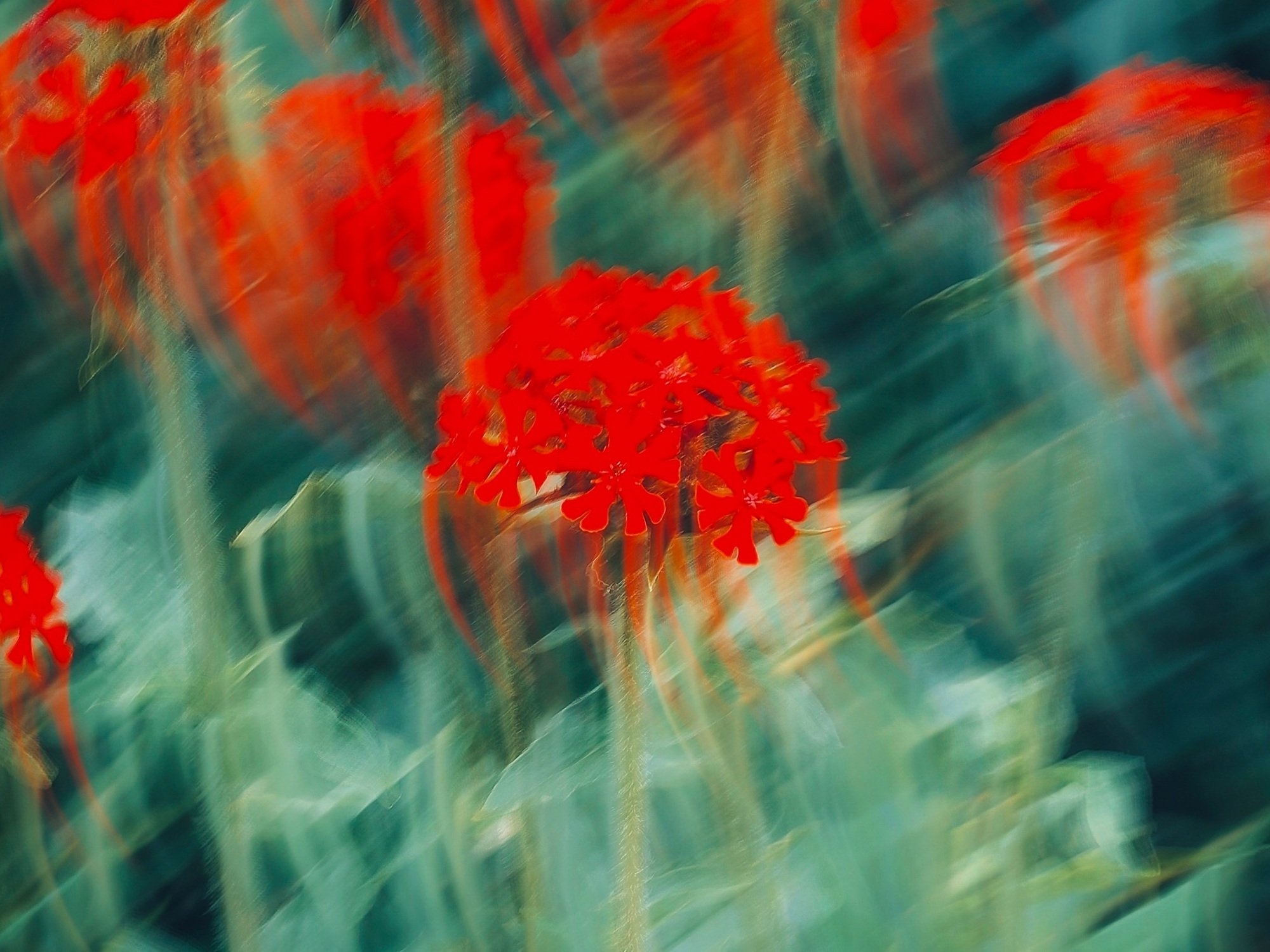 Atmospheric visual of scent experience in a leisure setting