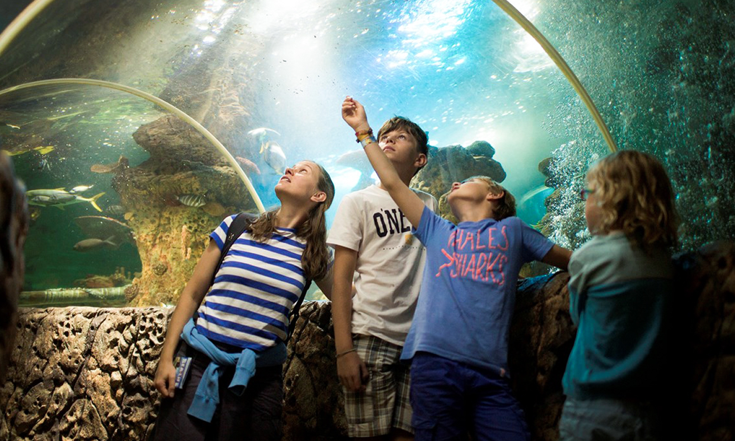 Sea Life Blankenberge mit Dufterlebnis