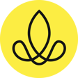 Sense Company