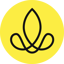 Sense Company