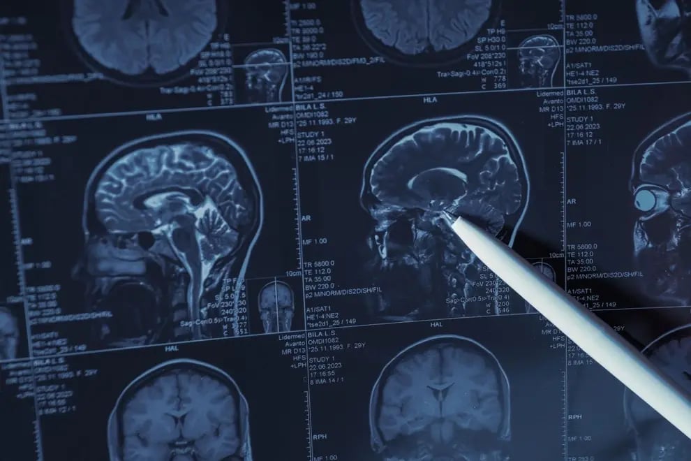 La psychologie de l’expérience olfactive