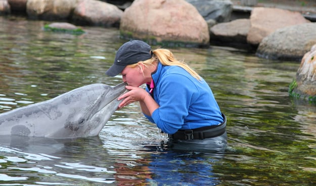 Happiness at Dolfinarium