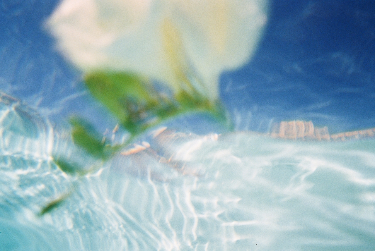 Sustainability and CSR Sense Company