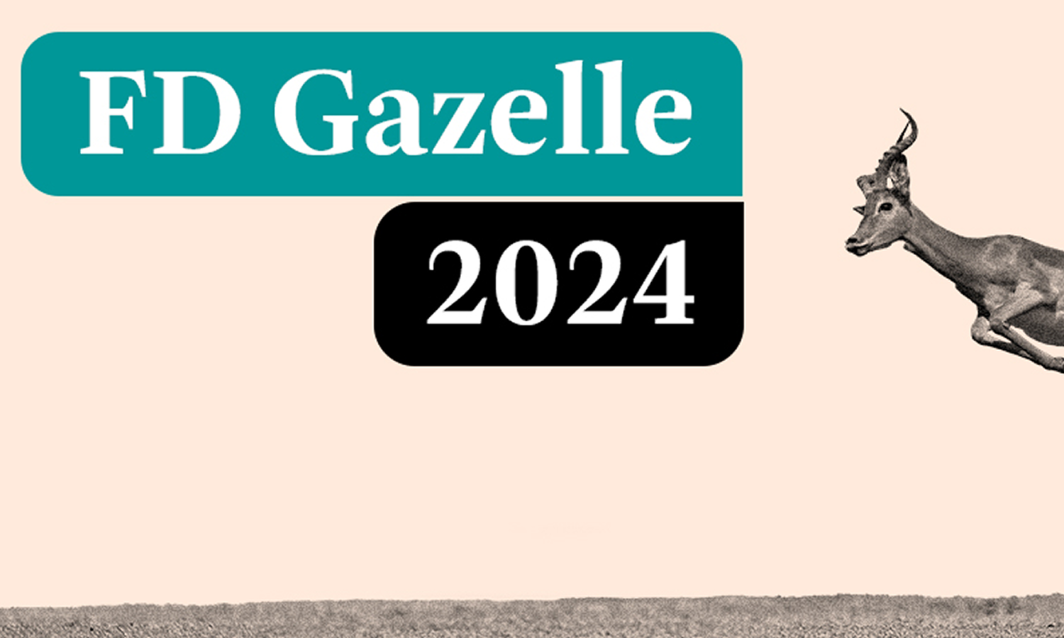 FD Gazelle 24