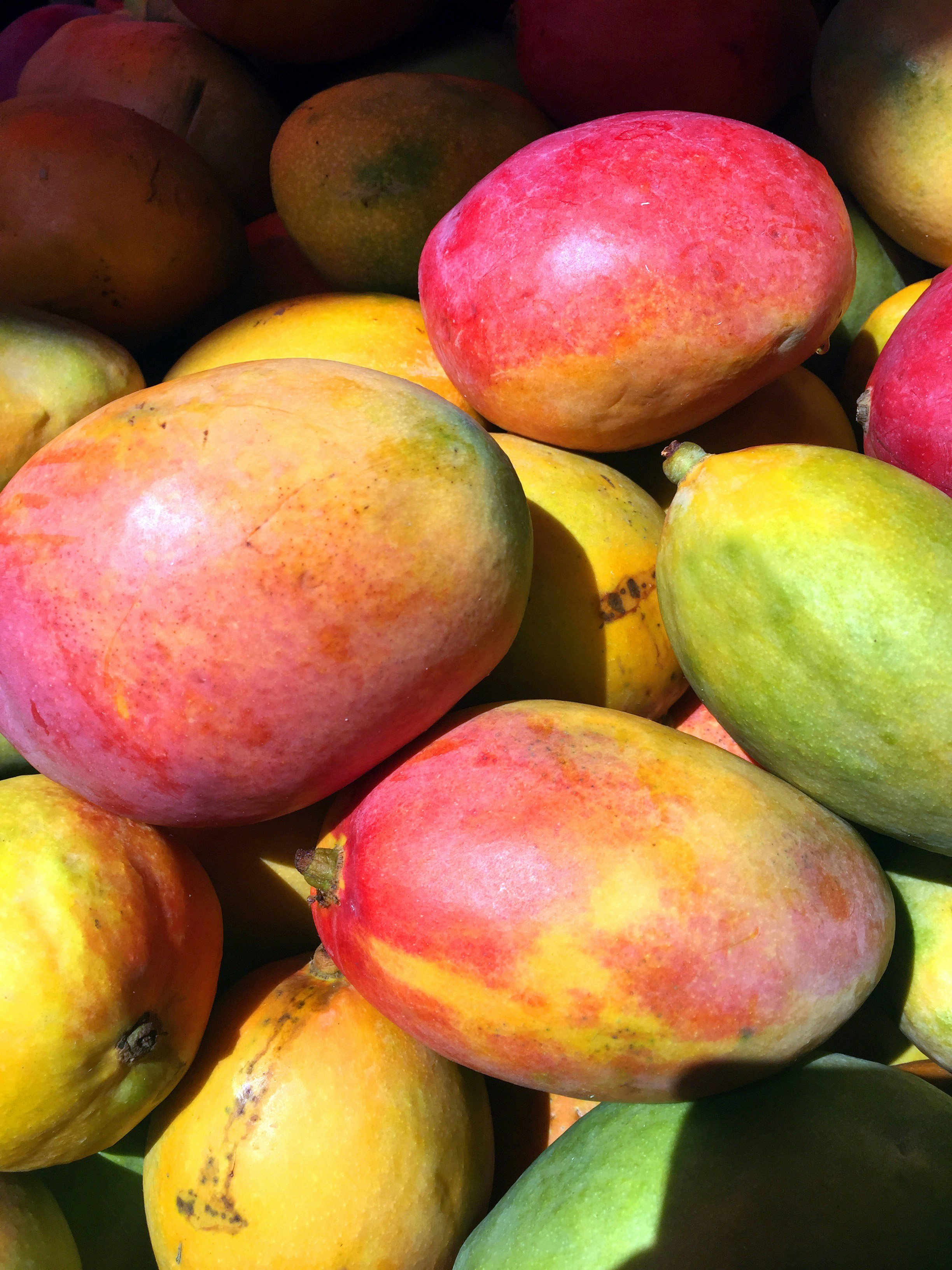 Mango tropical fruit