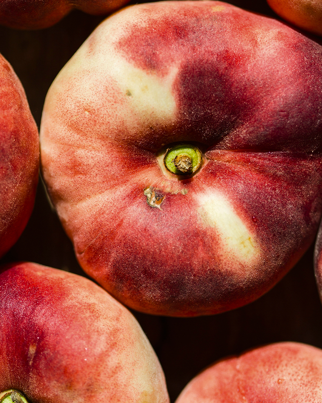 Apricot scent, juicy and velvety with a warm fruity note