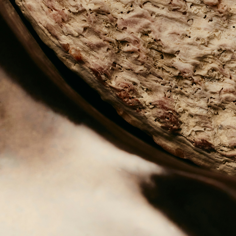 Textured abstract image symbolizing warm scent notes and a welcoming feel