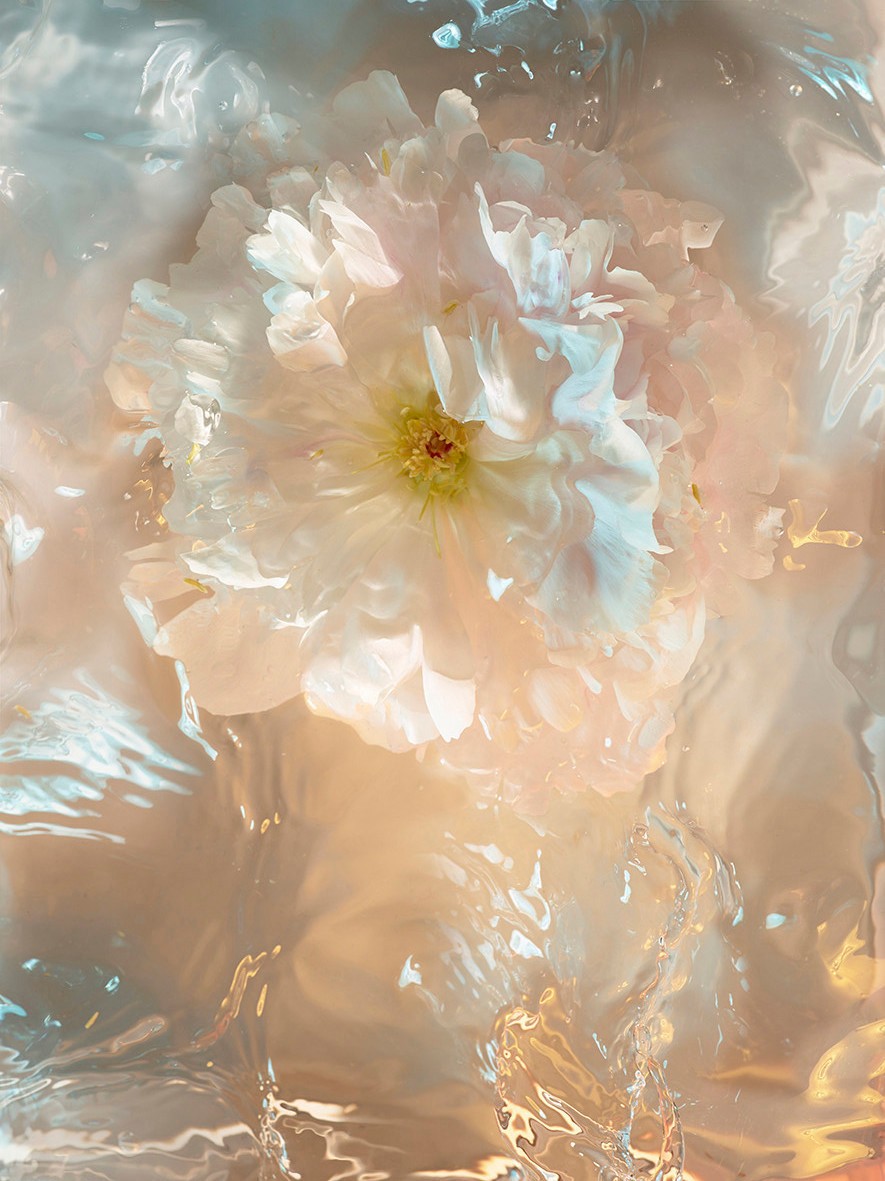 Flowers in the interior highlighting how our scent system delivers a fresh and inviting scent experience