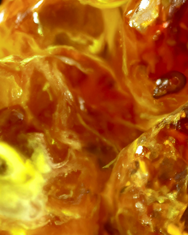 amber-scent-ingredient-premium-salon