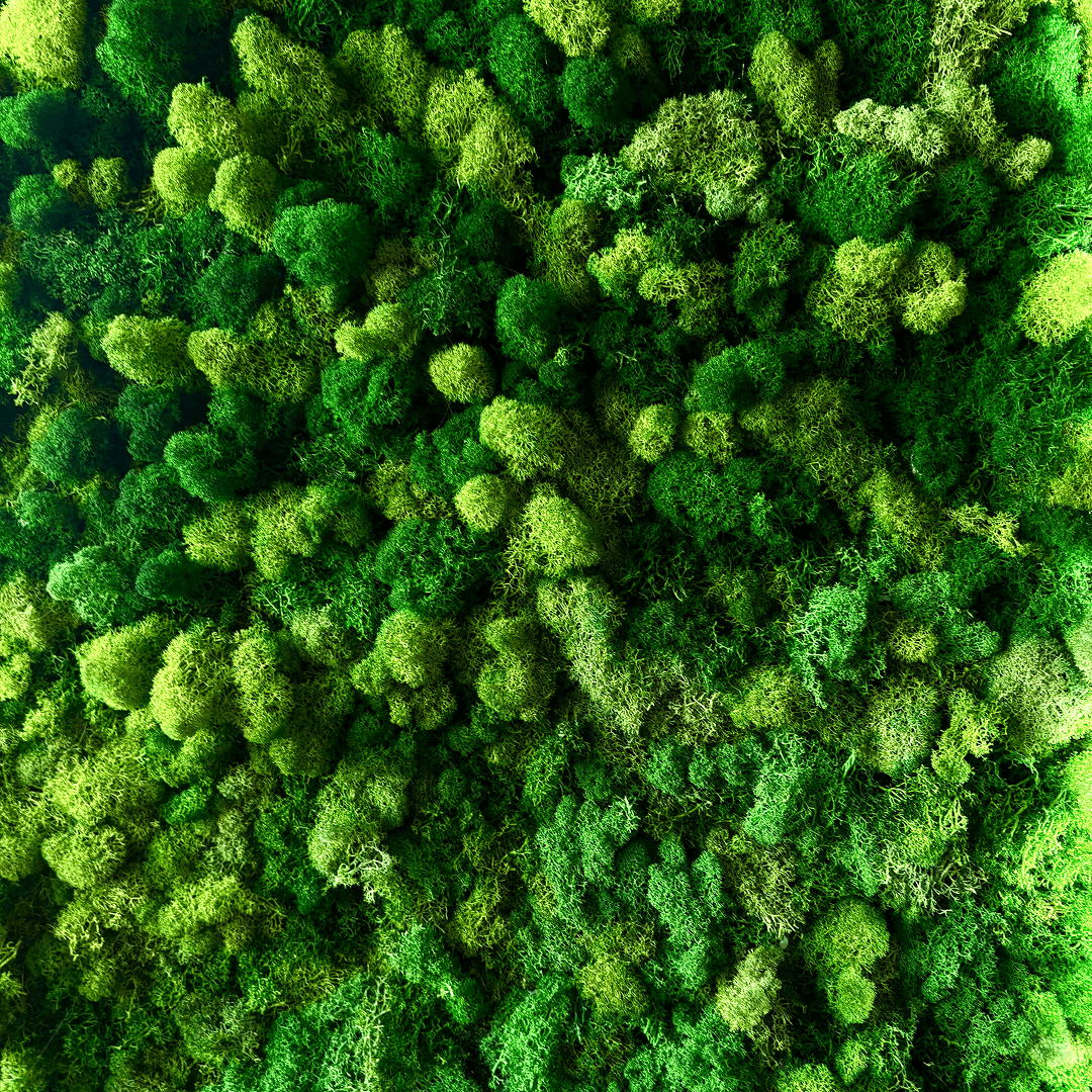 Green Spirit