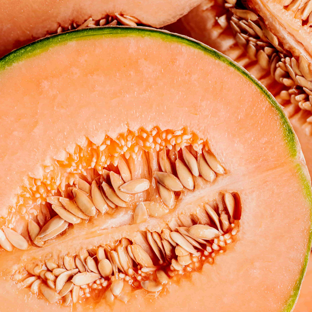Honeydew Melon
