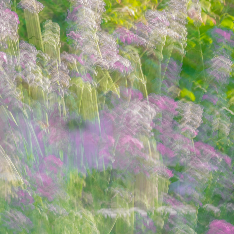 Lavender & Peppermint