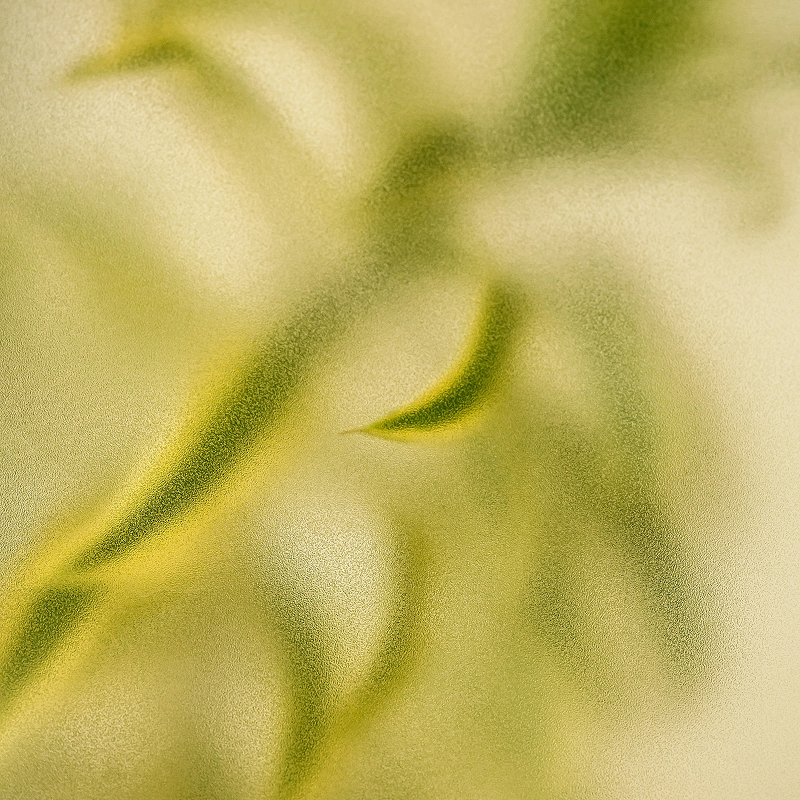 Rosemary & Eucalyptus