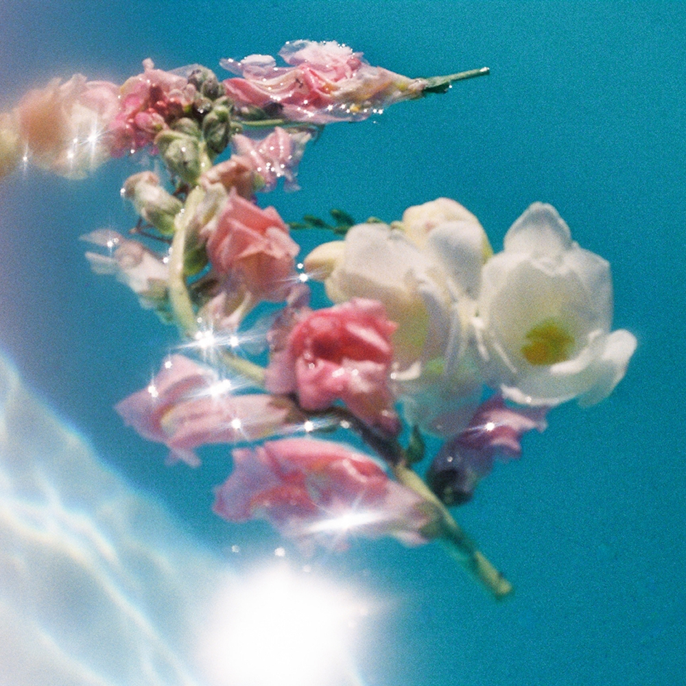 Roses floating in clear blue water spreading gentle calming scent.