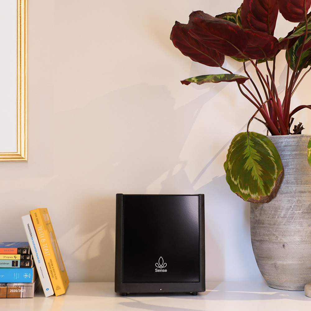 Scent system for tranquillity subtly placed in calm environment.