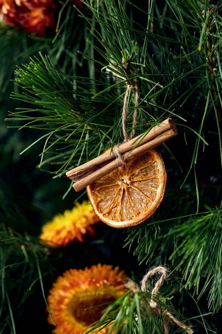 Orange Cinnamon Roll