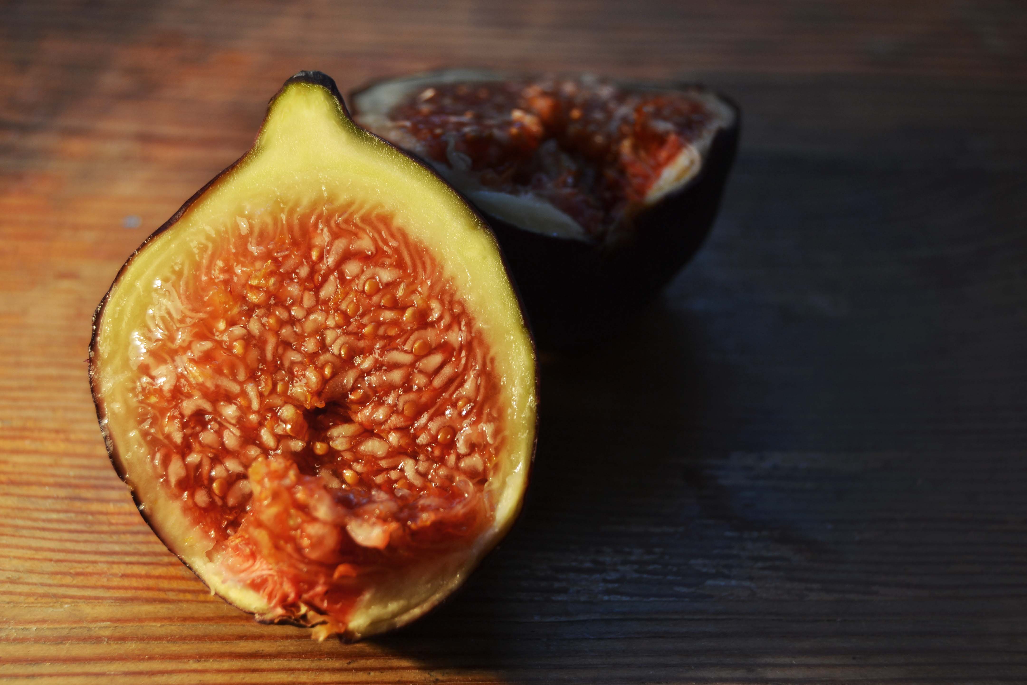 Wild Fig